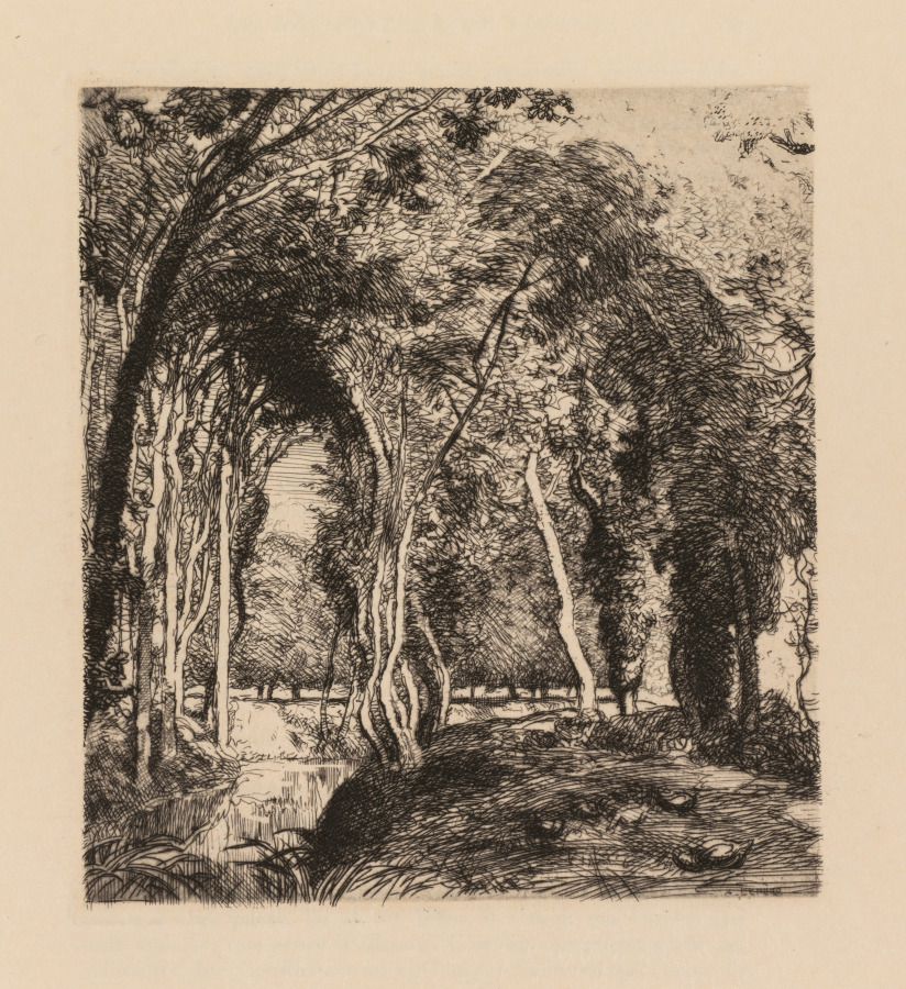Auguste Louis Lepère — Auguste Lepère: Sous bois, à la Rigonette (Vendèe)