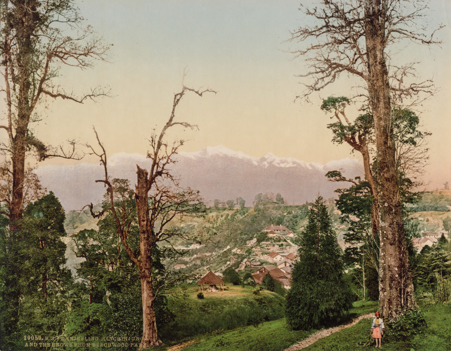 Photoglob Co. — Darjeeling. Kinchinjunga and the Snows from Beechwood Park