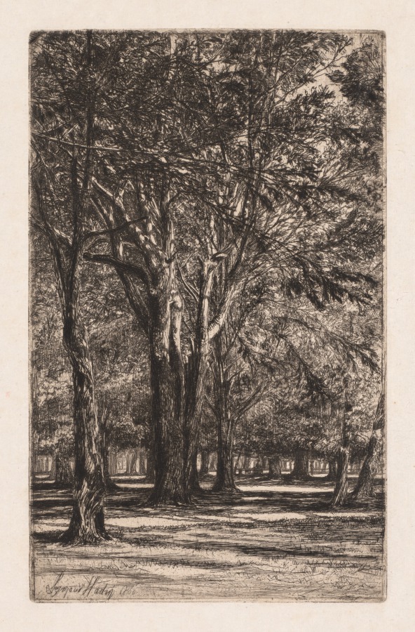 Francis Seymour Haden — Kensington Gardens, No. 2 (The Larger Plate)