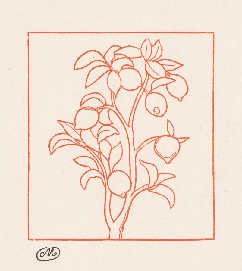 The Georgics: Lemon Tree (Les Géorgiques: Citronnier)