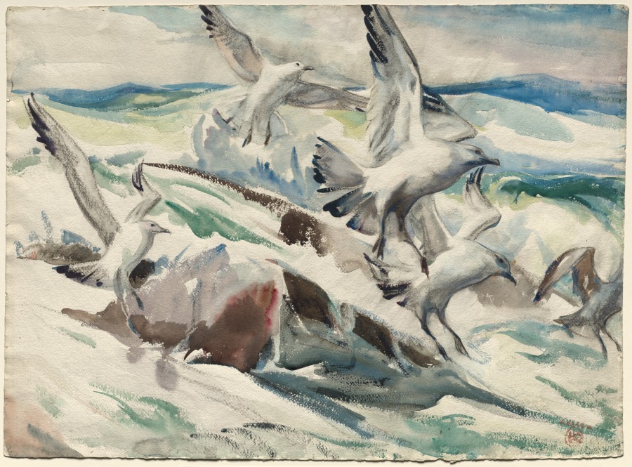 Henry Keller — Gulls Feeding