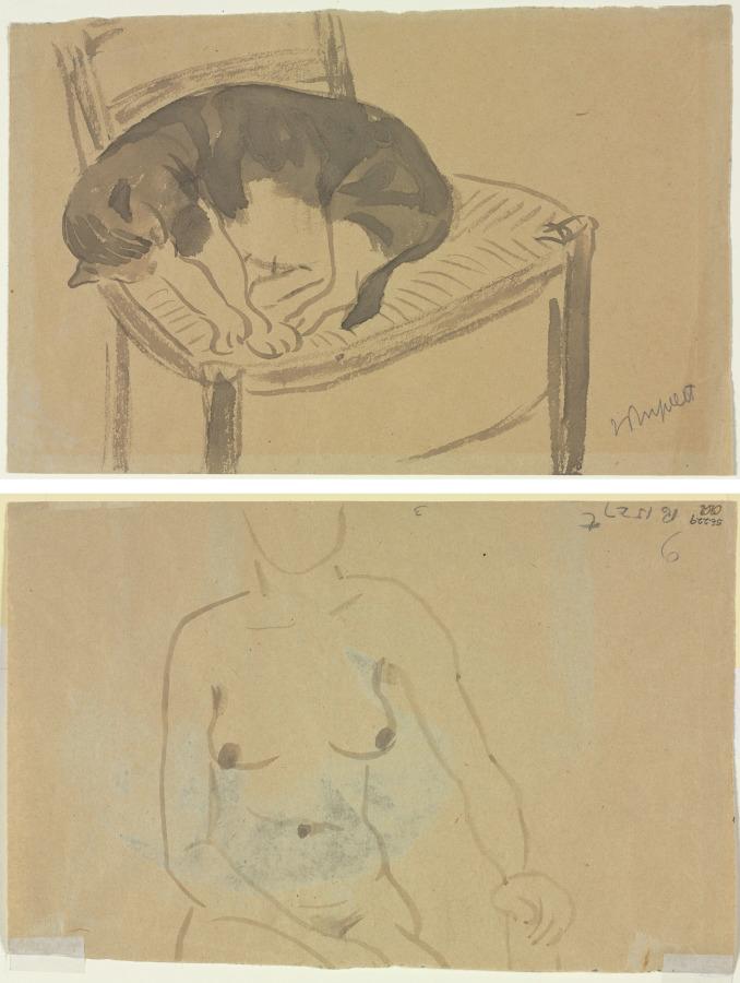 Sleeping Cat (recto) Torso of a Nude Woman (verso)