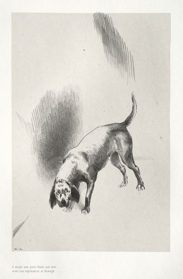 Odilon Redon — He Fixed His Eyes on Me with an Expression That Was So Strange