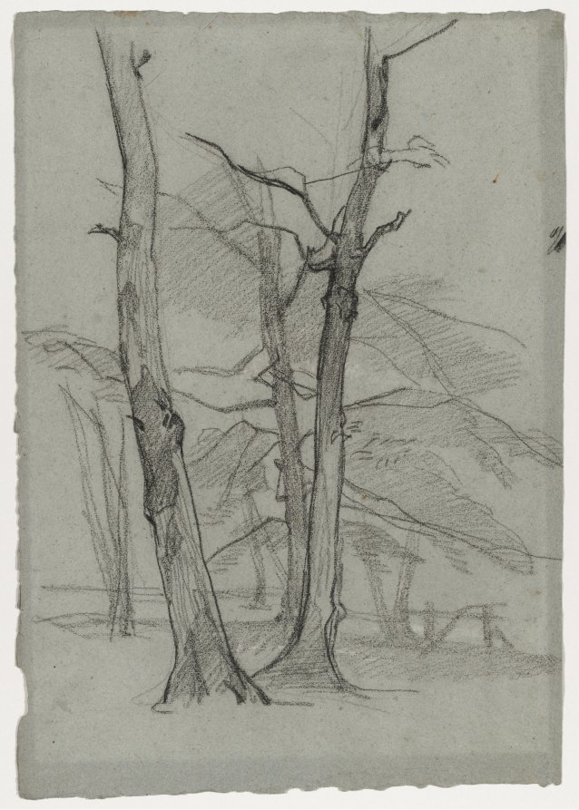 Thomas Couture — Landscape Study with Trees
