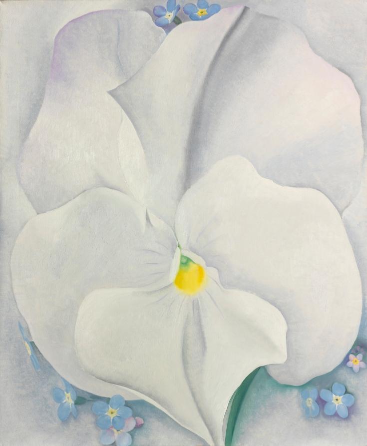 White Pansy