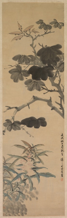 Wu Rangzhi — Flowering Plants