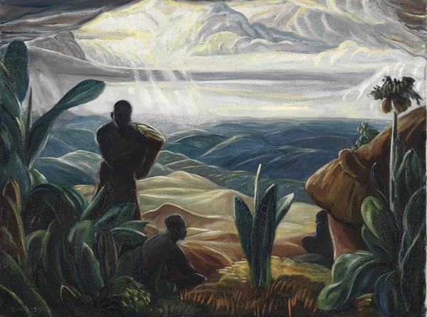 My First View of the Congo Forest