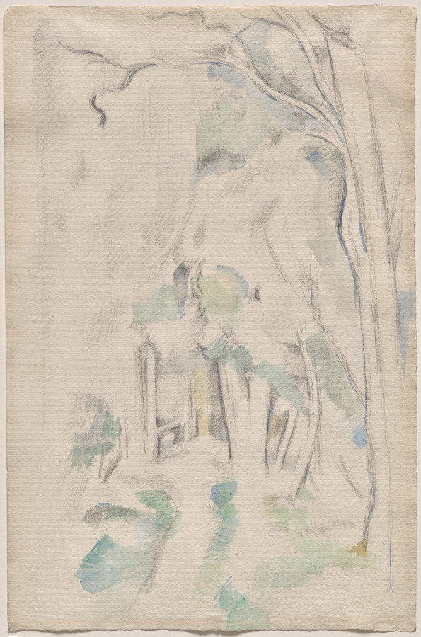 Footpath in the Woods