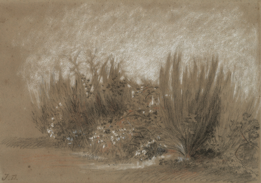Jules Dupré — Genets et Ronces (Broom and Brambles)