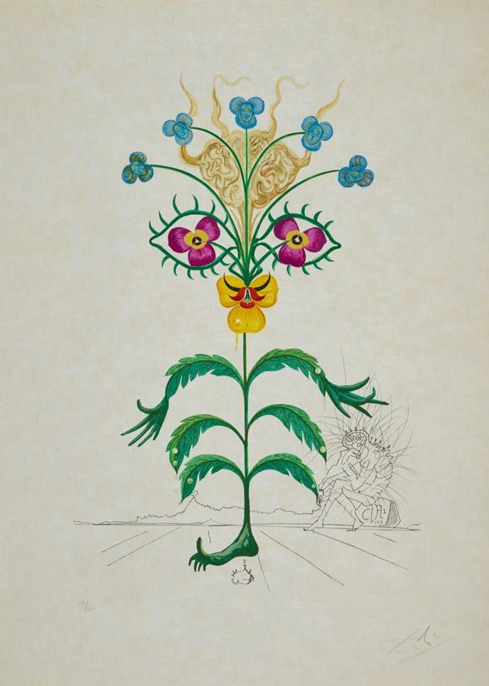 Salvador Dalí — Viola cogitans from Flora Dalinae