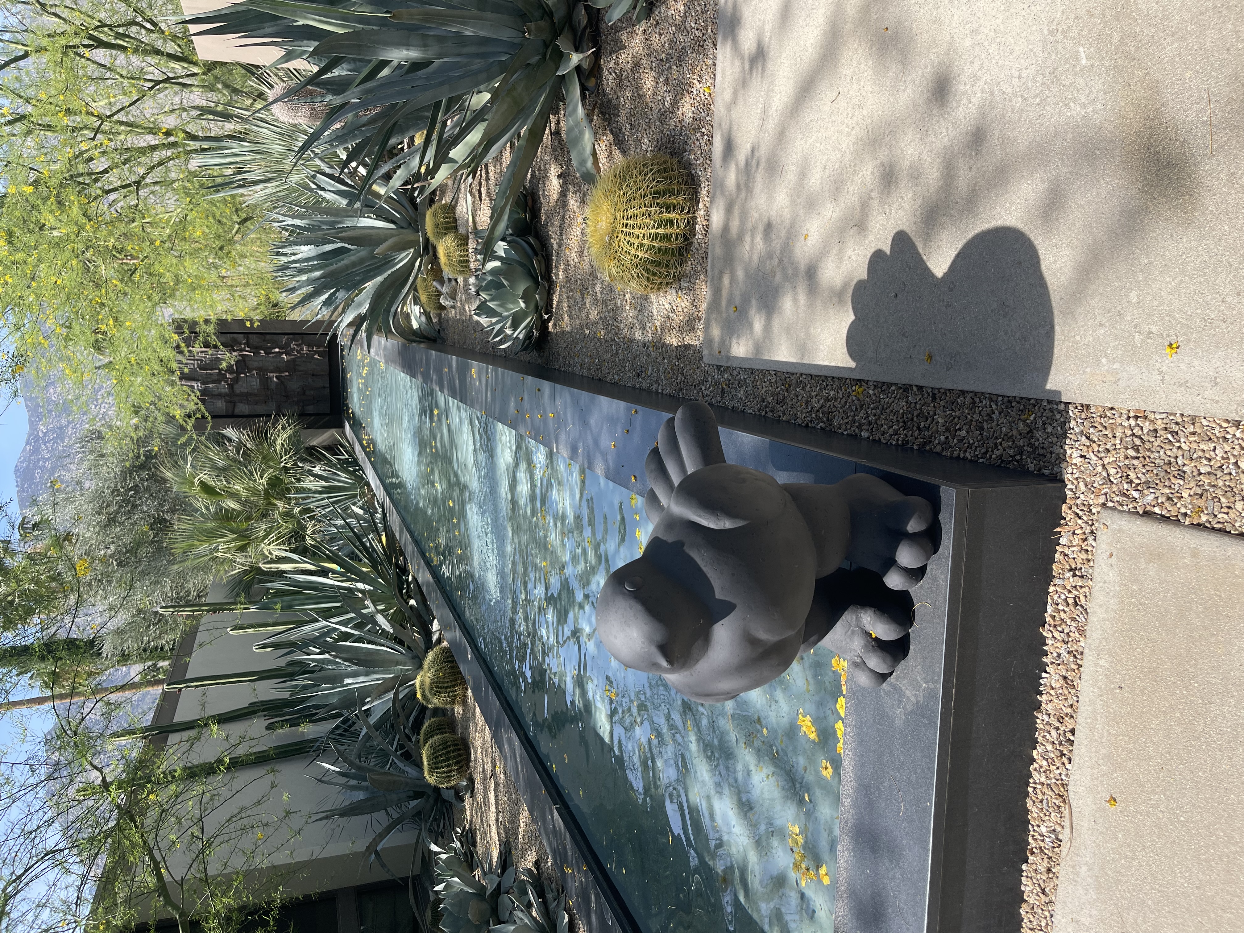 Faux-Tero — Blackbird