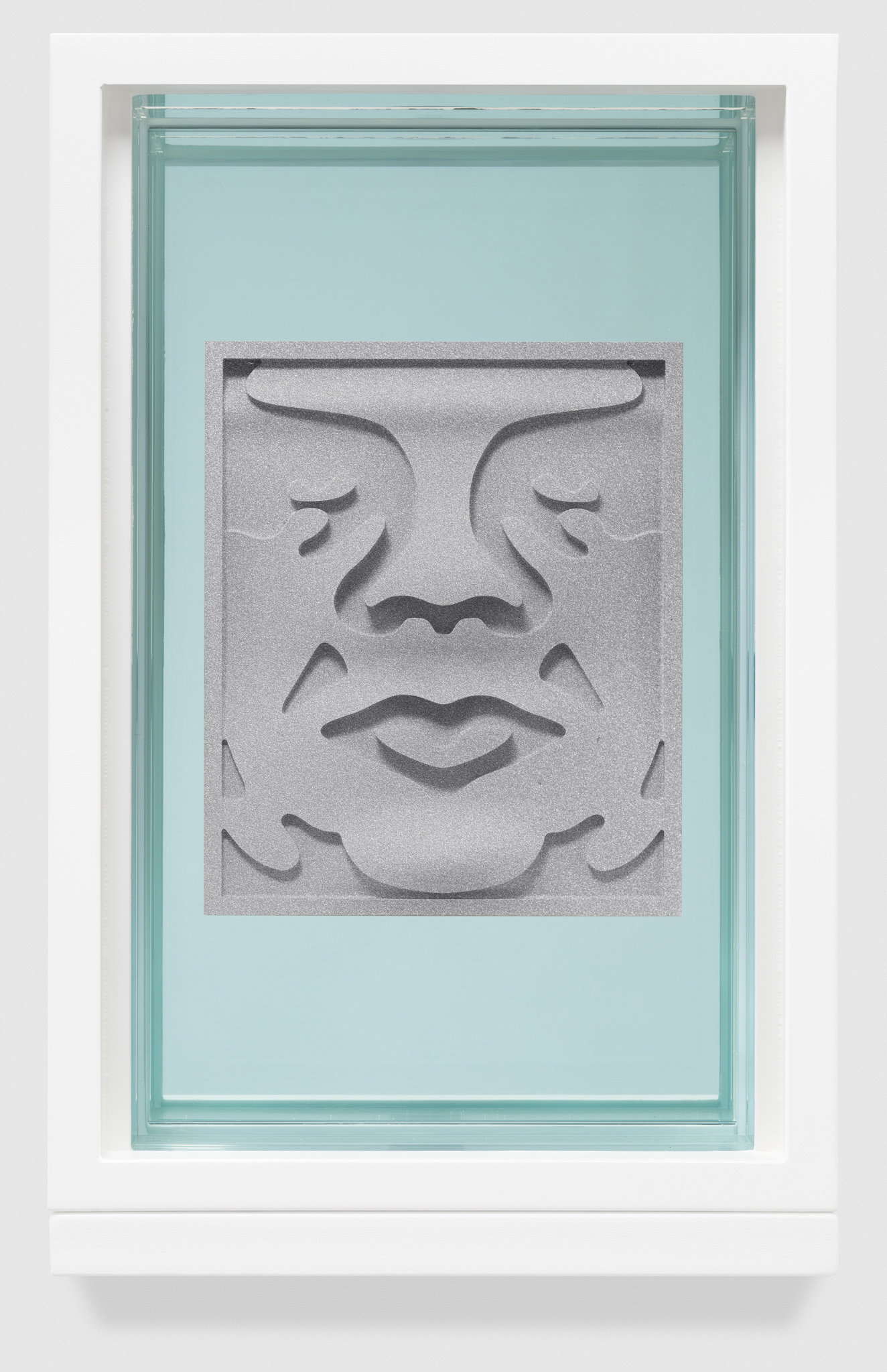 Shepard Fairey — Preserving an Icon