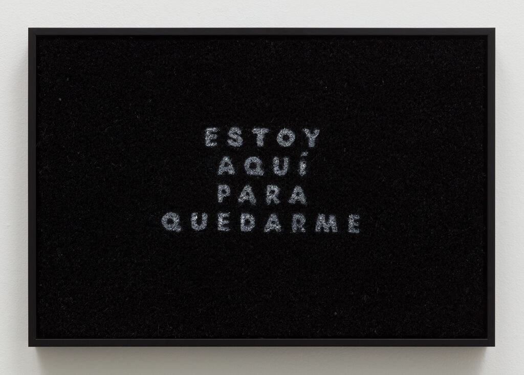 Nery Gabriel Lemus — Estoy Aquí Para Quedarme