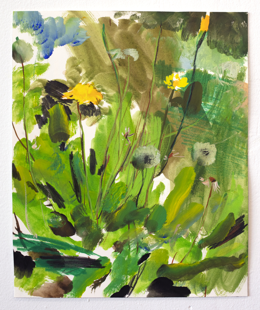 Doron Langberg — Ragworts