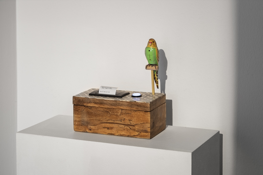 Beatriz Cortez — The Fortune Teller Machine (Nomad edition)
