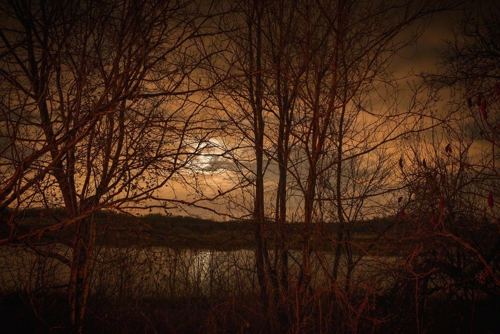 Todd Hido — Untitled 11599-5811