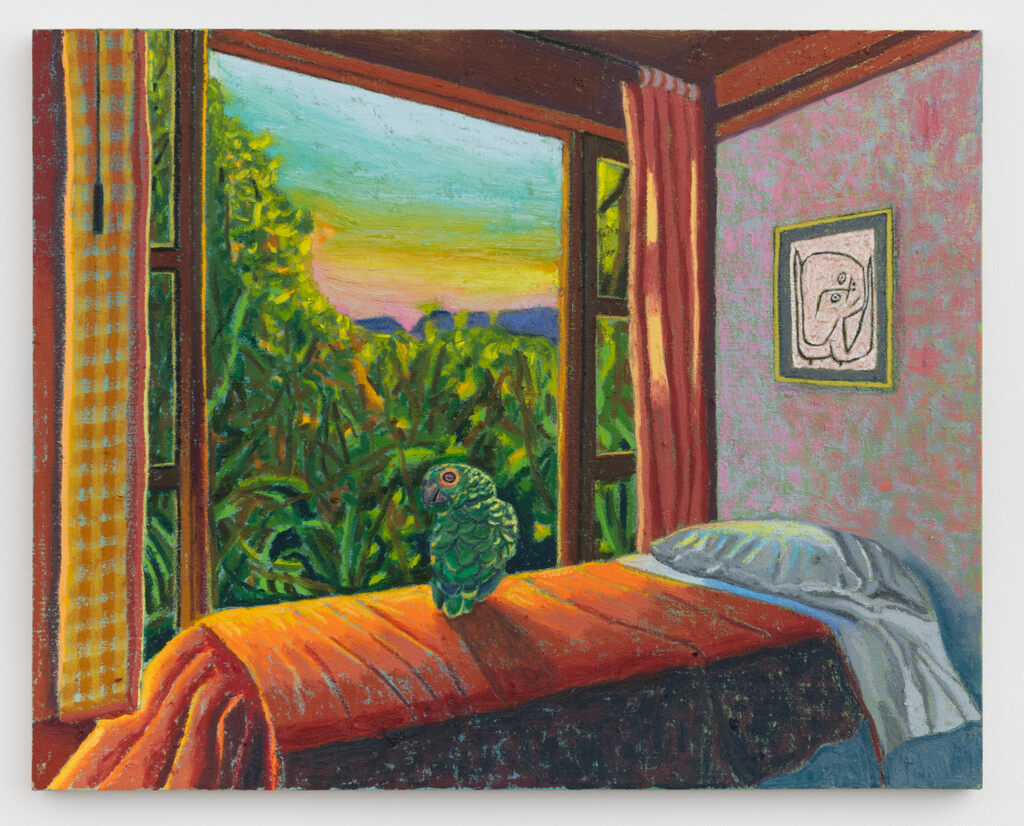 Costa Rican Hostel with Green Parrot & Paul Klee Drawing