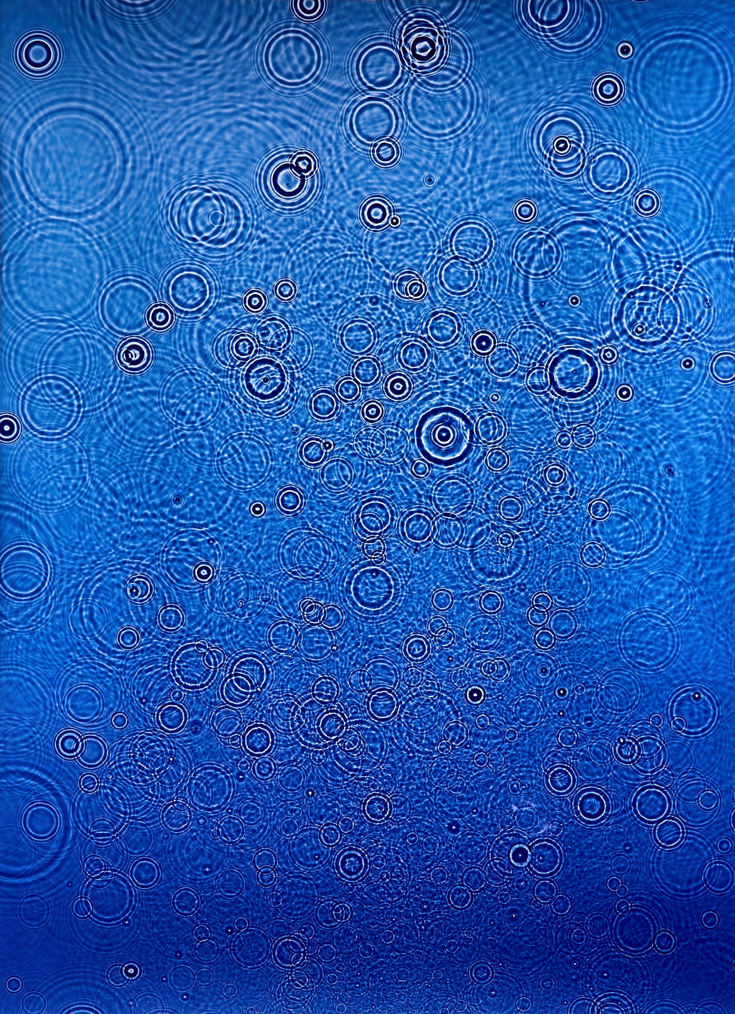 Adam Fuss — Untitled 2014