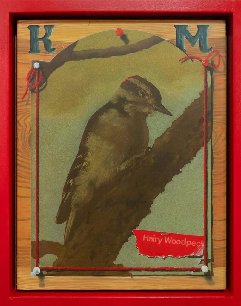 Robert Martin — Hairy Woodpecker (for Ken)