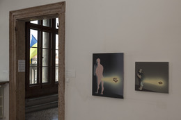 Diptych, Rare projection (Old fashioned shit)