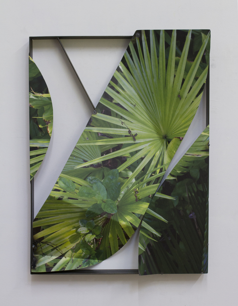 Palm Fronds Steel