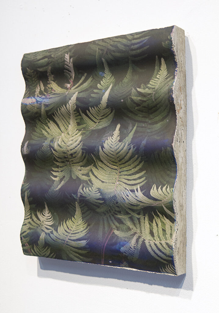 Kauai Ferns Concrete Wave