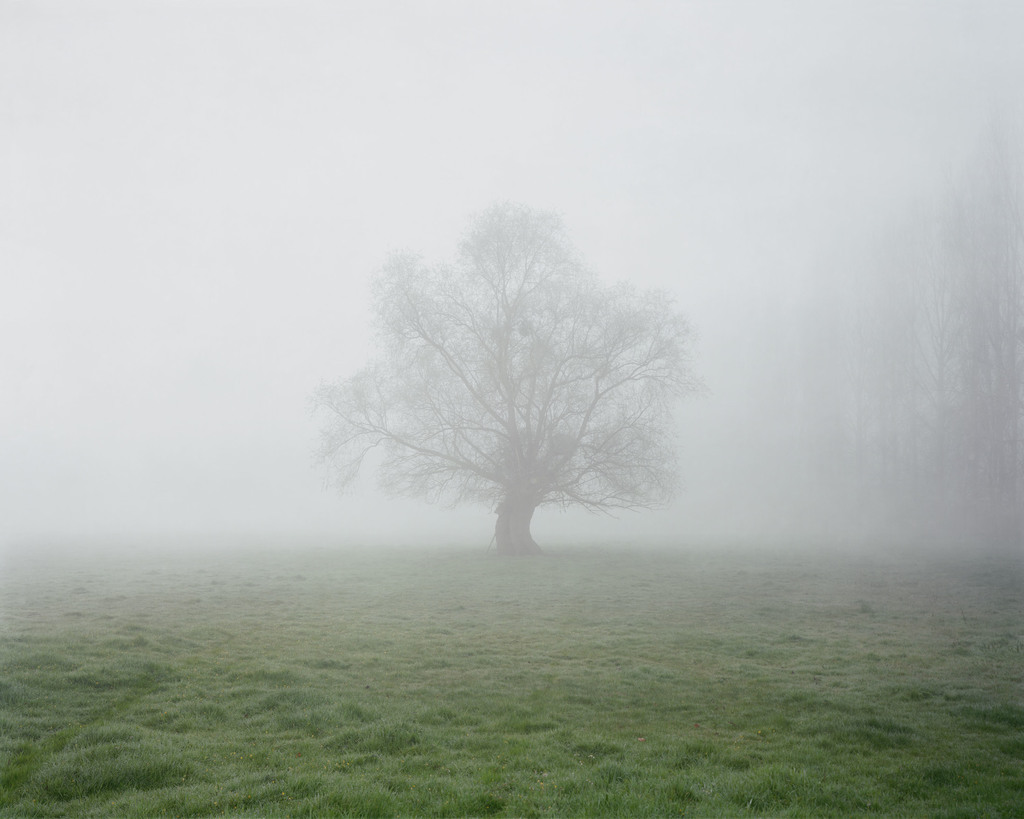 Alec Soth — Fontainebleau