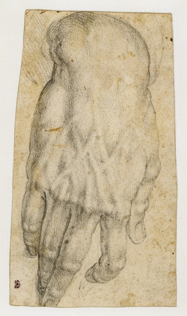 Study of a man's right hand (recto), Studies of four heads and of a nude figure seen from the rear (verso)
