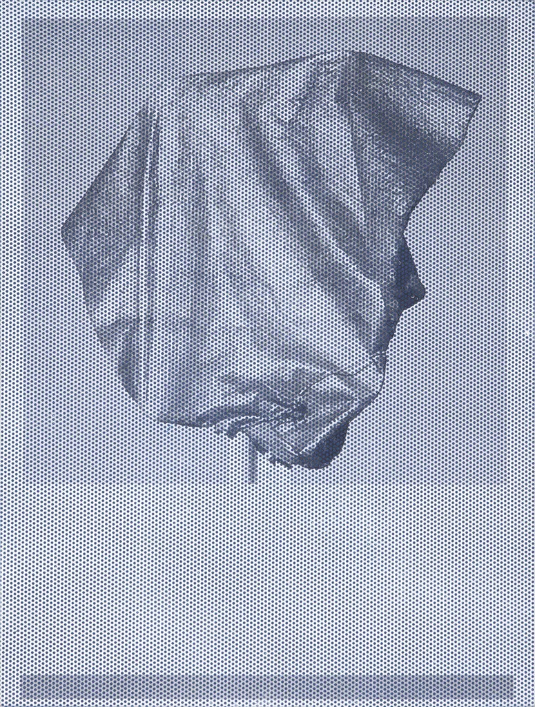 Sayre Gomez — Untitled
