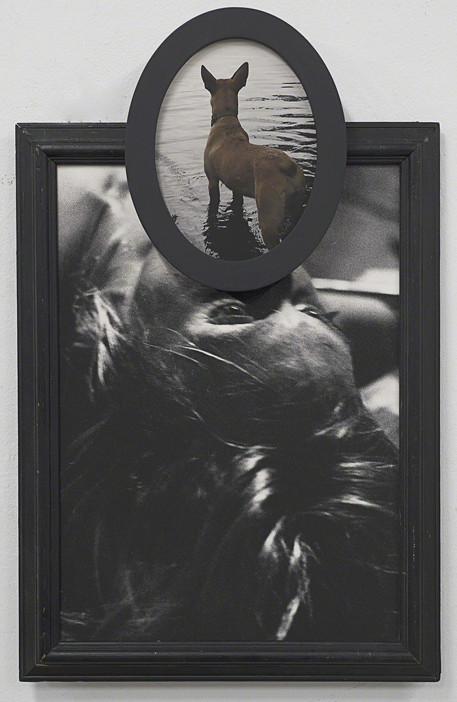 Todd Gray — IPTKM #1