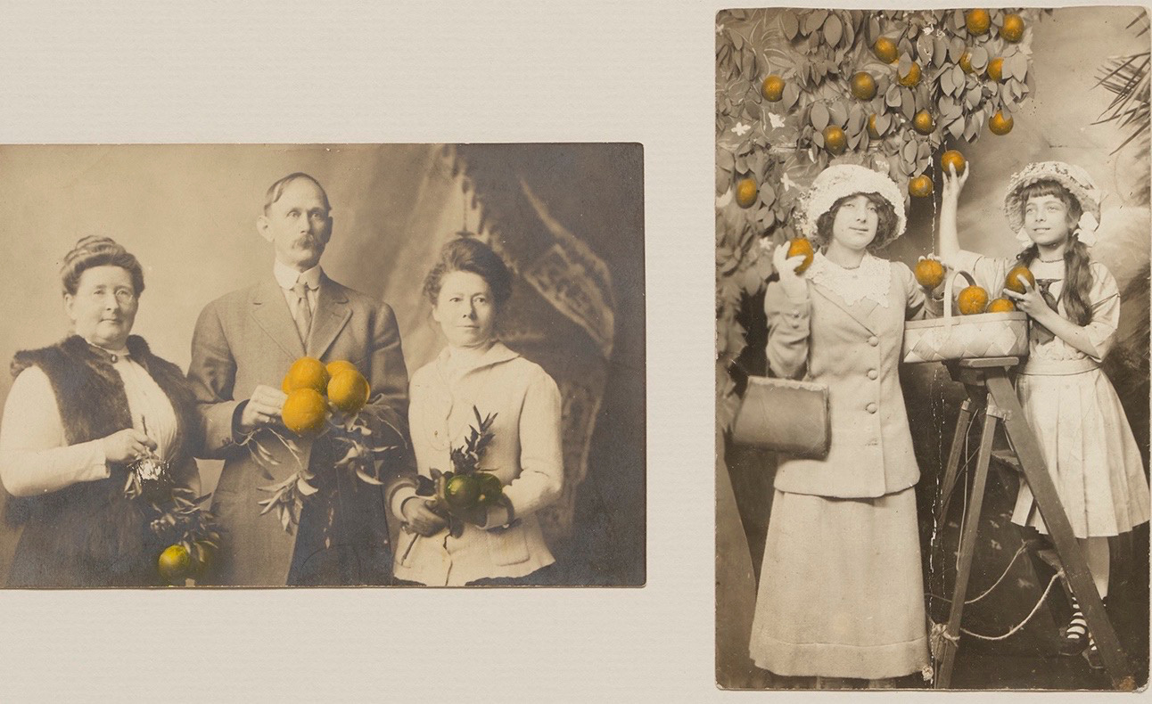 Tacita Dean — California - true and false