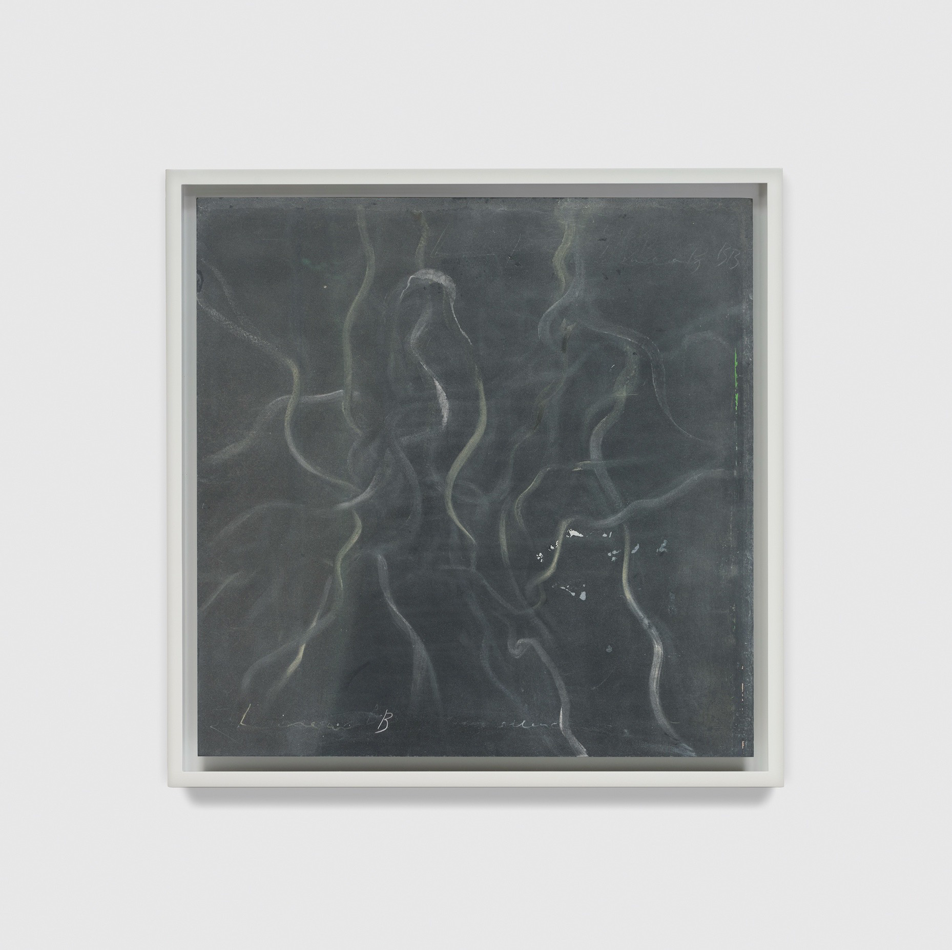 Tacita Dean — Linear B