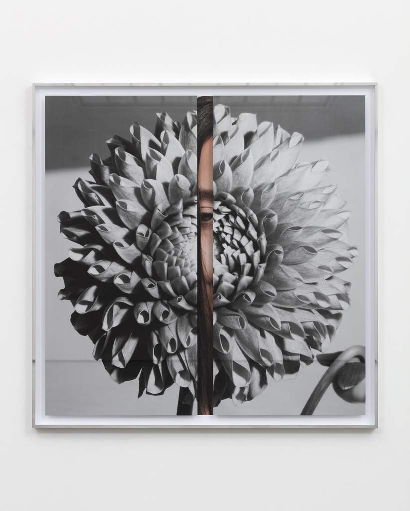 Kathryn Andrews — Hollywood Dahlia
