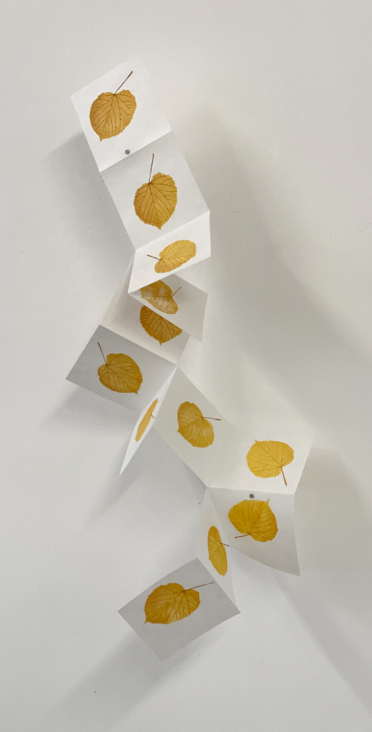 Spencer Finch — Falling Linden Leaf
