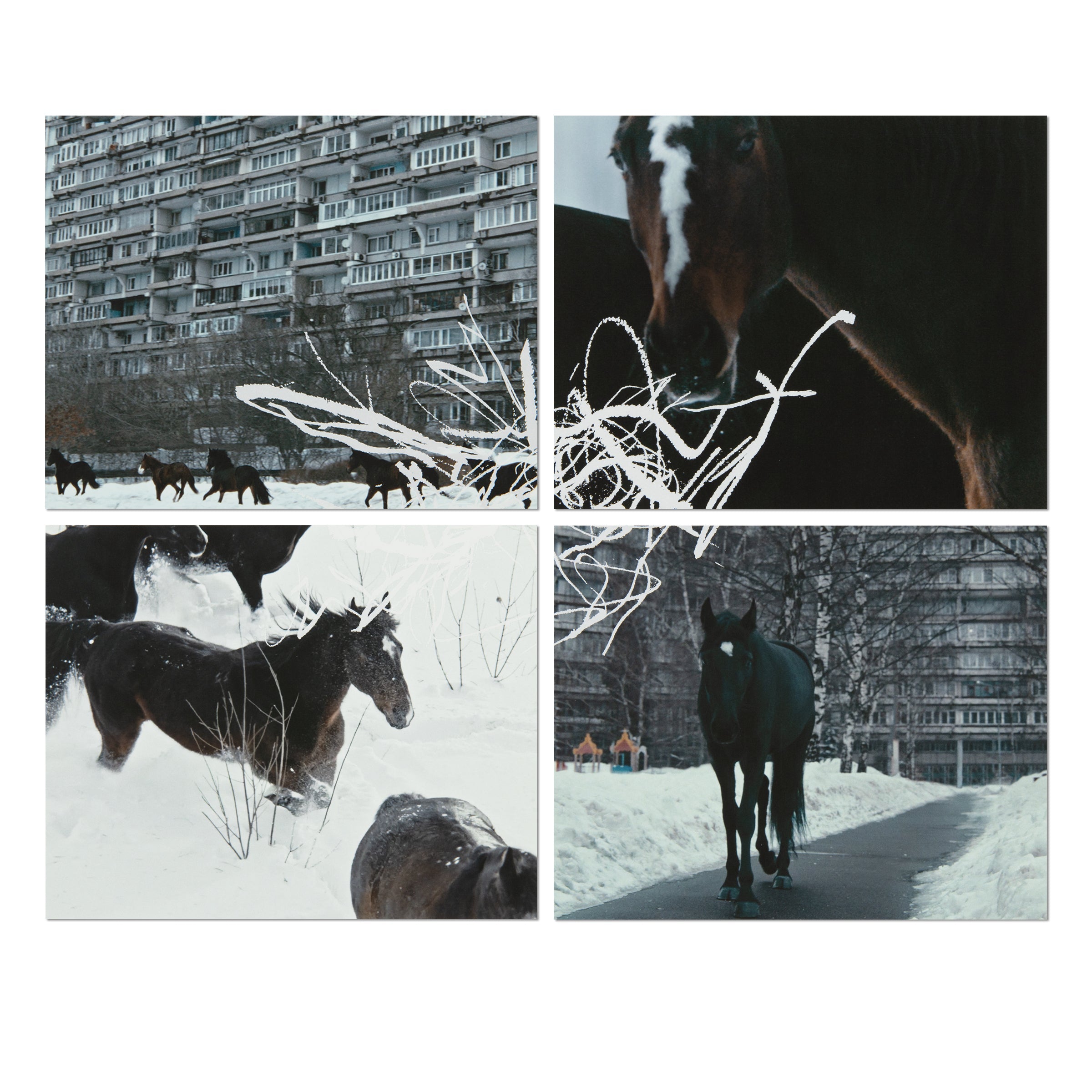 Anne Imhof — YOUTH