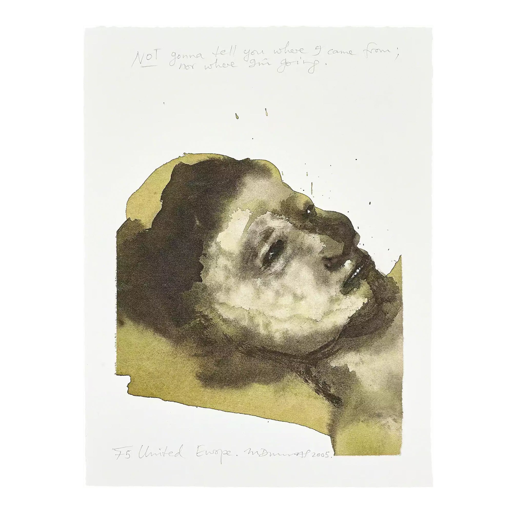 Marlene Dumas — United Europe