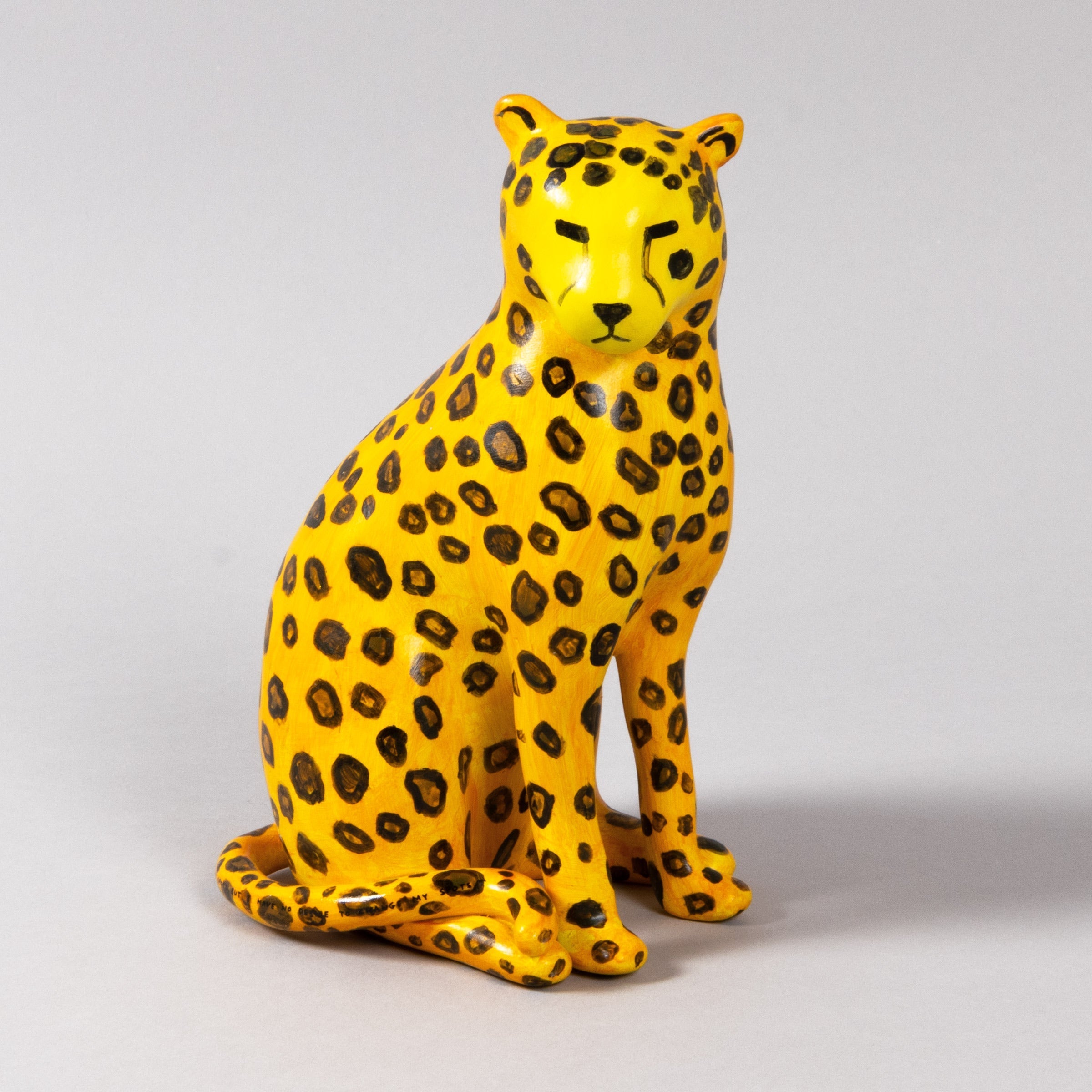 David Shrigley — I Cannot Change my Spots