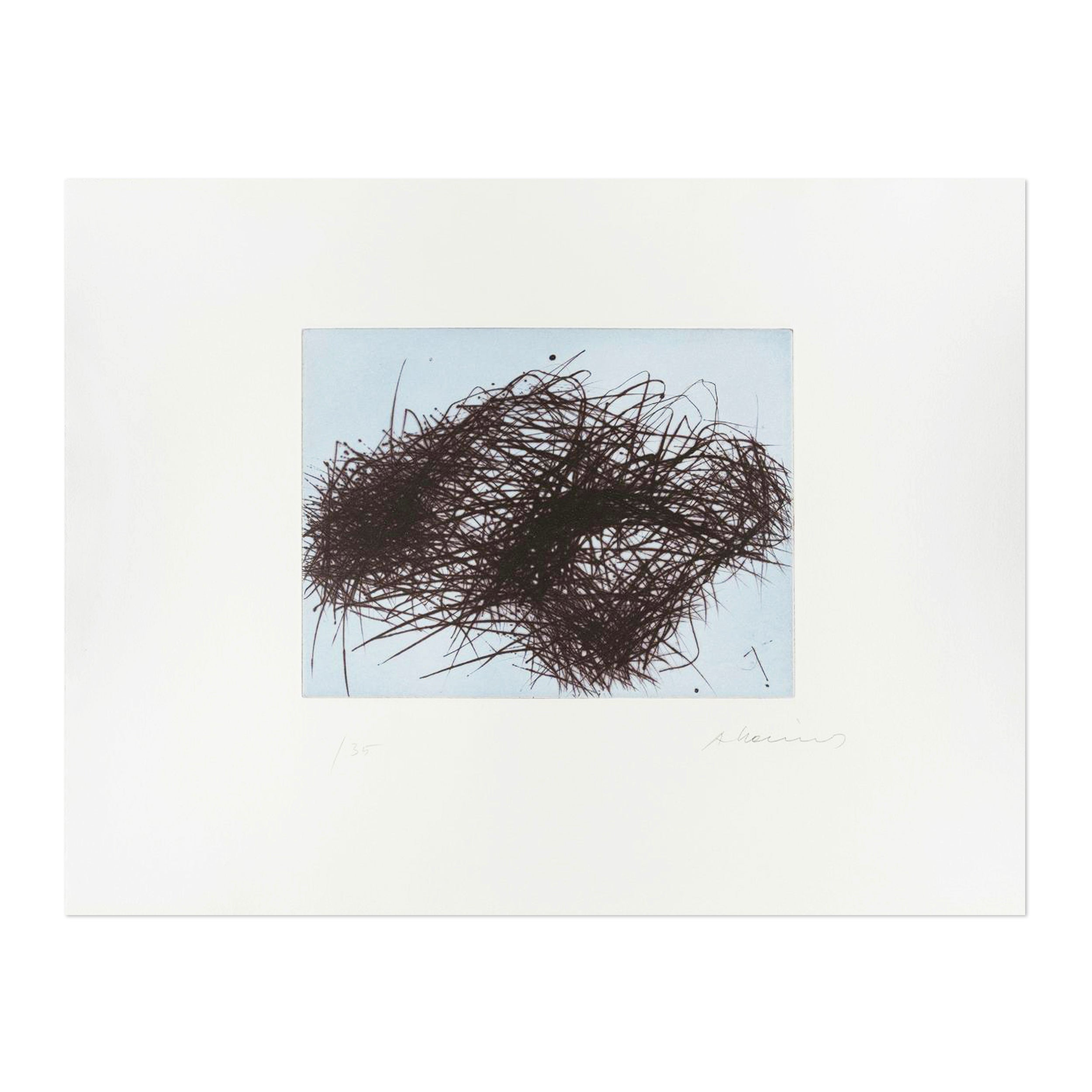 Arnulf Rainer — Drahtwolke