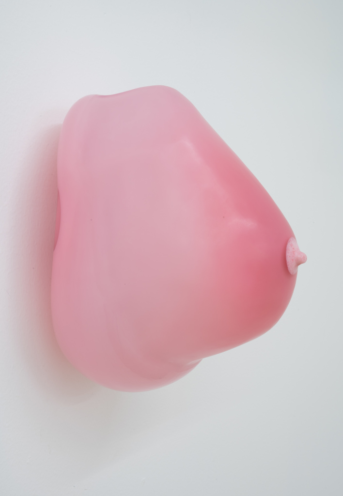 breast (jamón jamón)