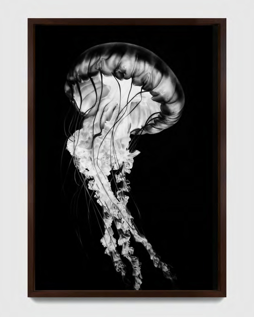 Robert Longo — Untitled (Immortal Glass)