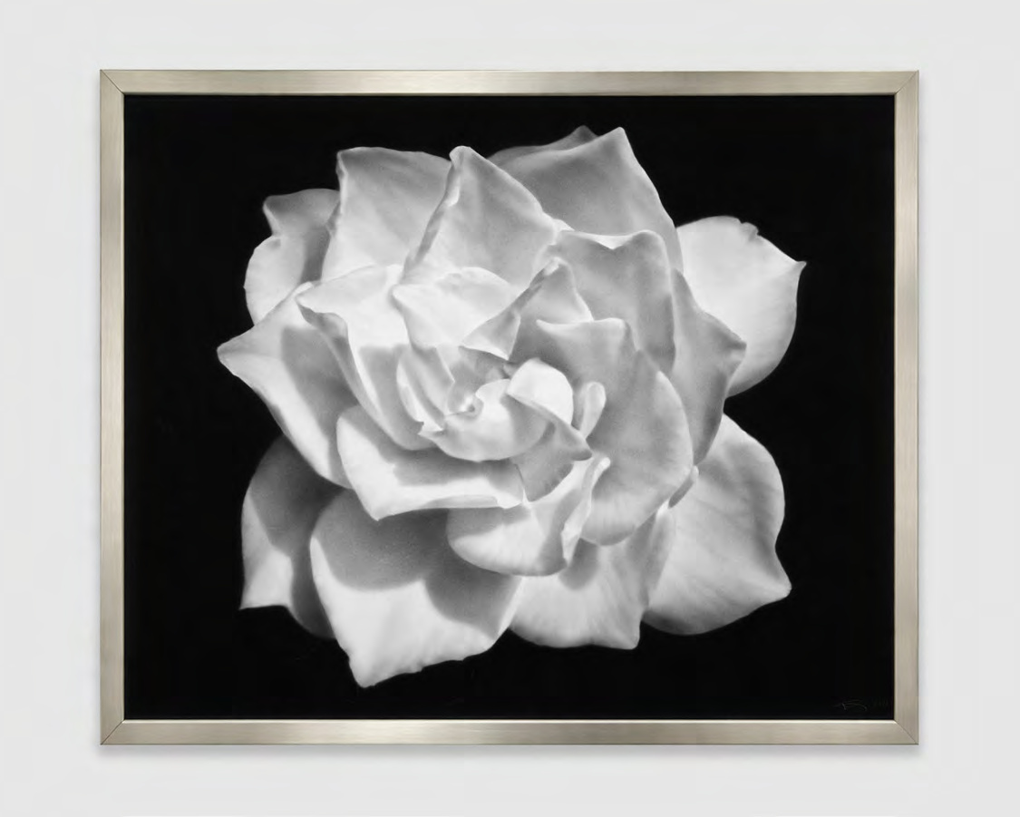 Robert Longo — Untitled (Gardenia for Mary)