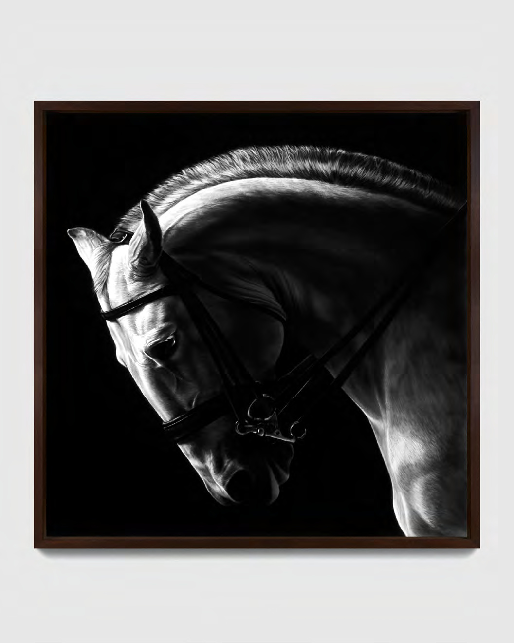 Robert Longo — Untitled (White Horse)