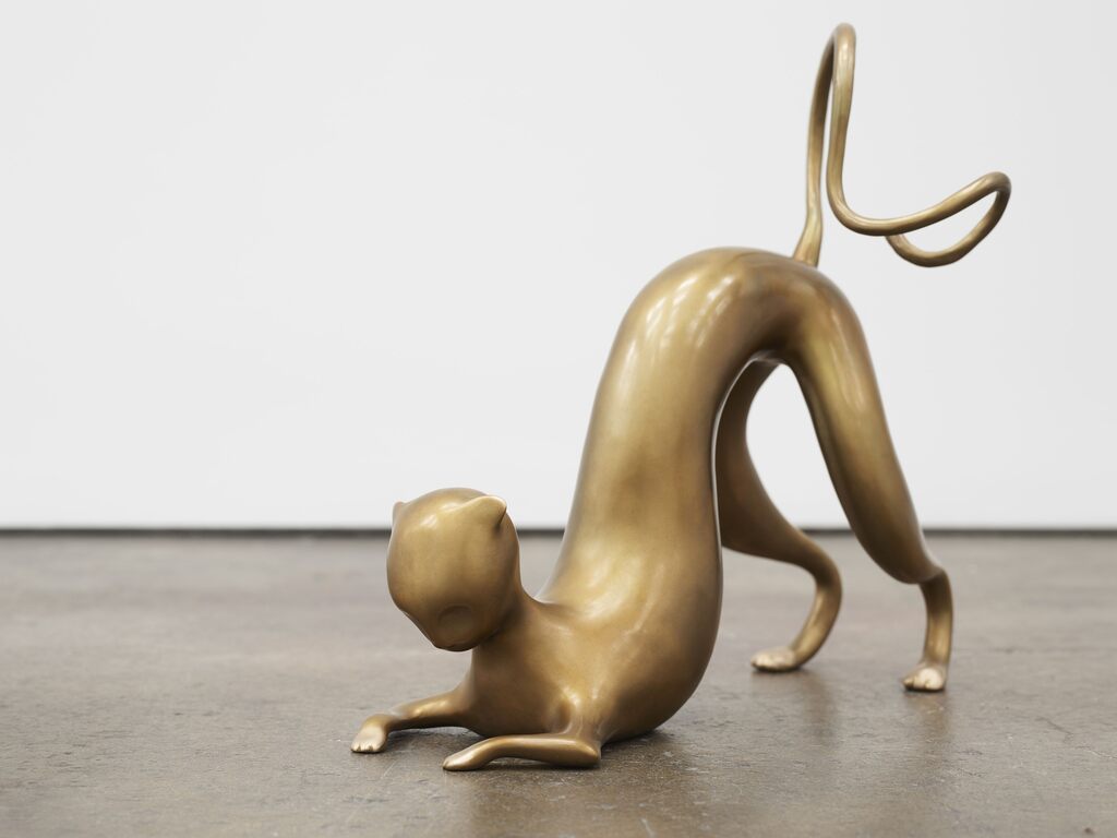 Koak — Cat with downward tail
