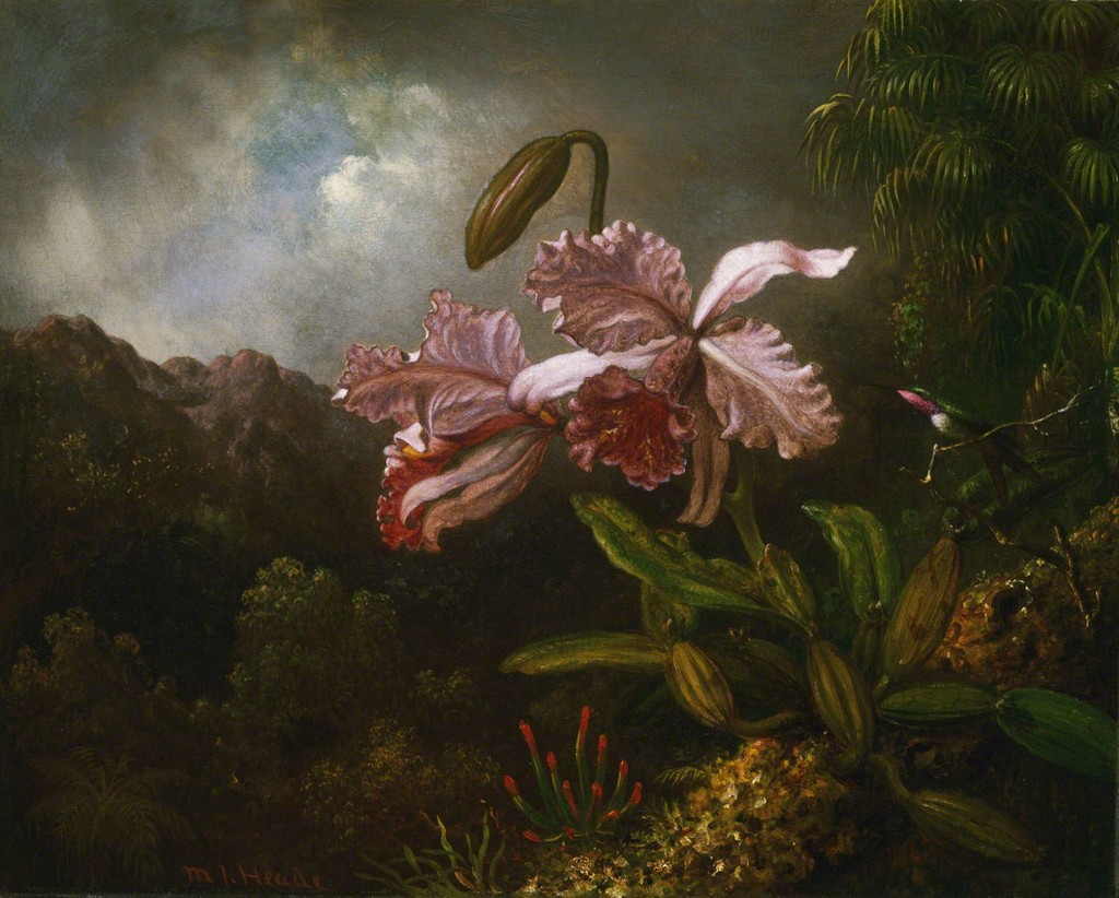Martin Johnson Heade — Orchids in a Jungle