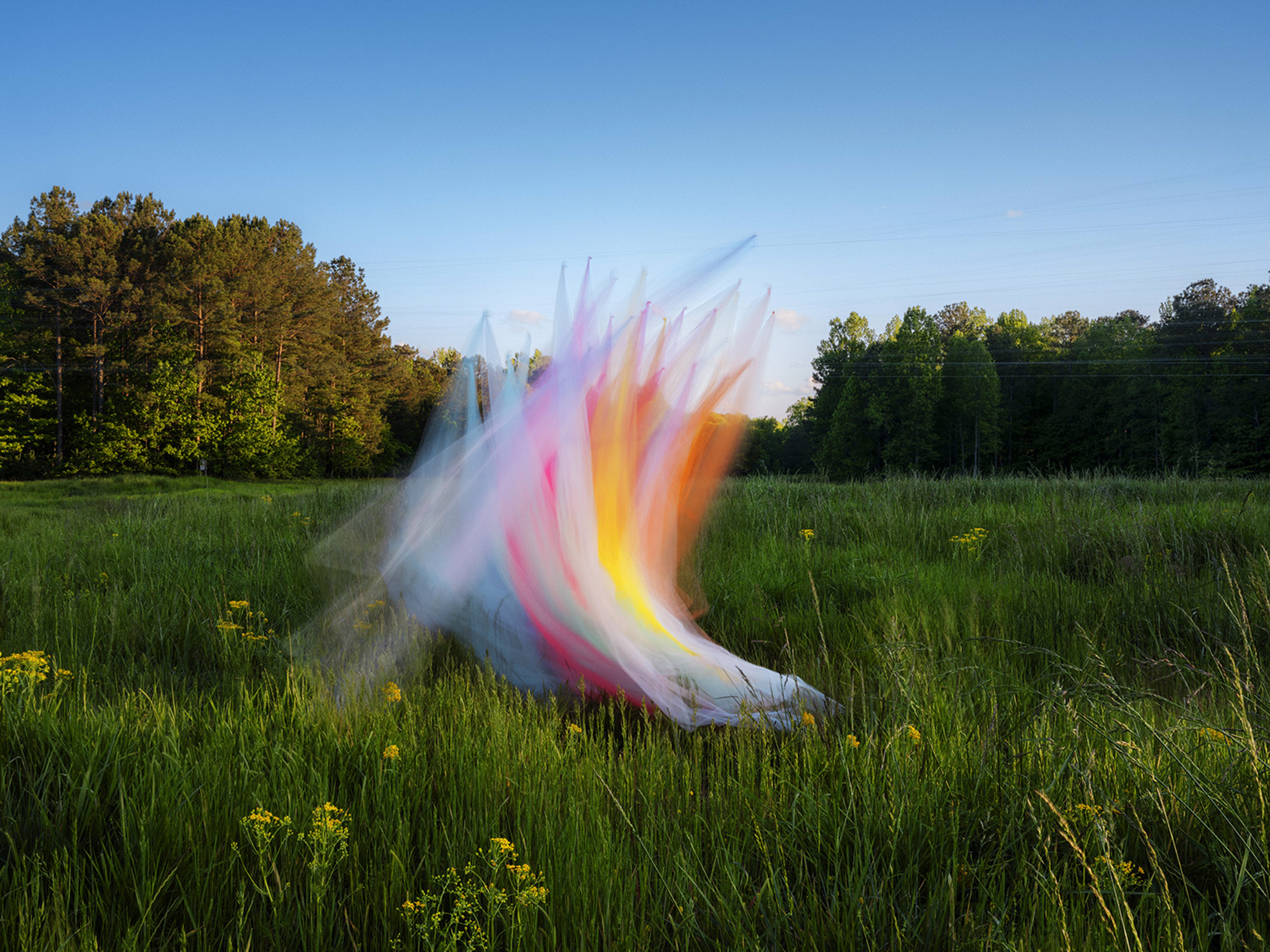 Thomas Jackson — tulle 052