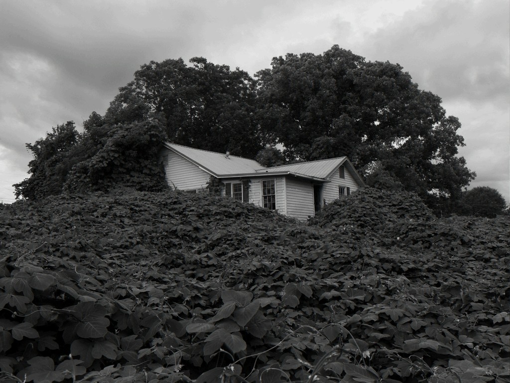 Alec Soth — Near Gainesville, Georgia