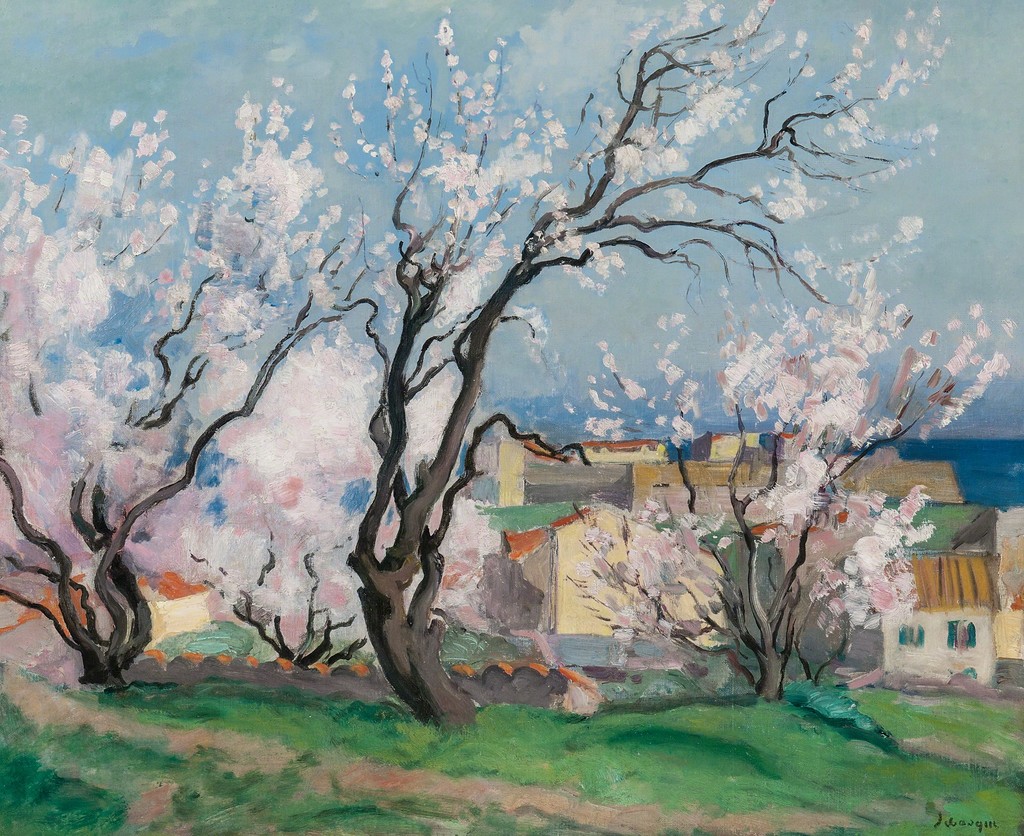 Henri Lebasque — Collioure, les amandiers en fleurs