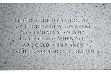 Jenny Holzer — The Living Series: There's the sensation of a lot of