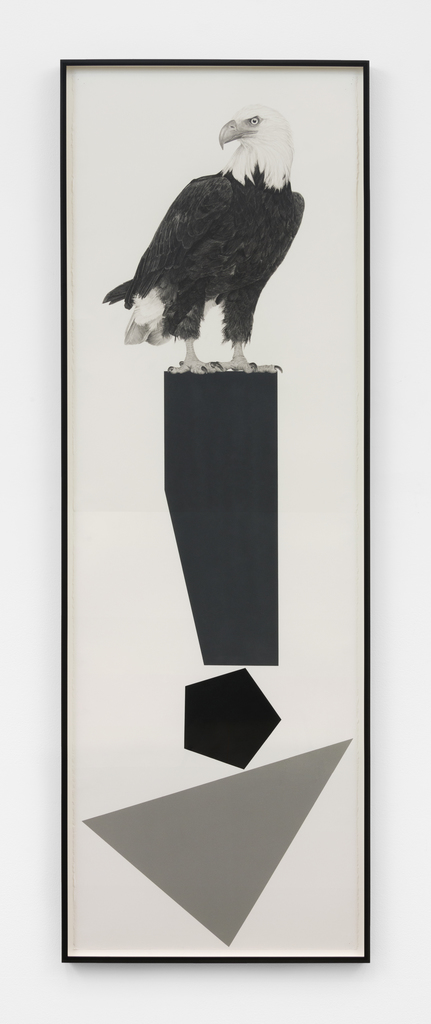 Karl Haendel — Perched Bald Eagle