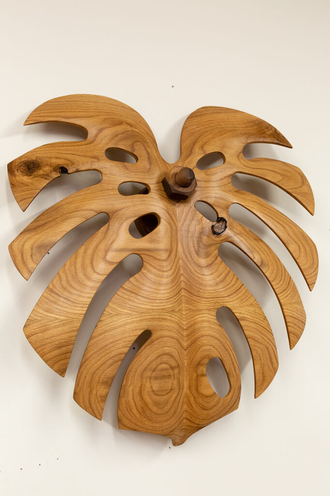 Raul De Lara — Monstera 